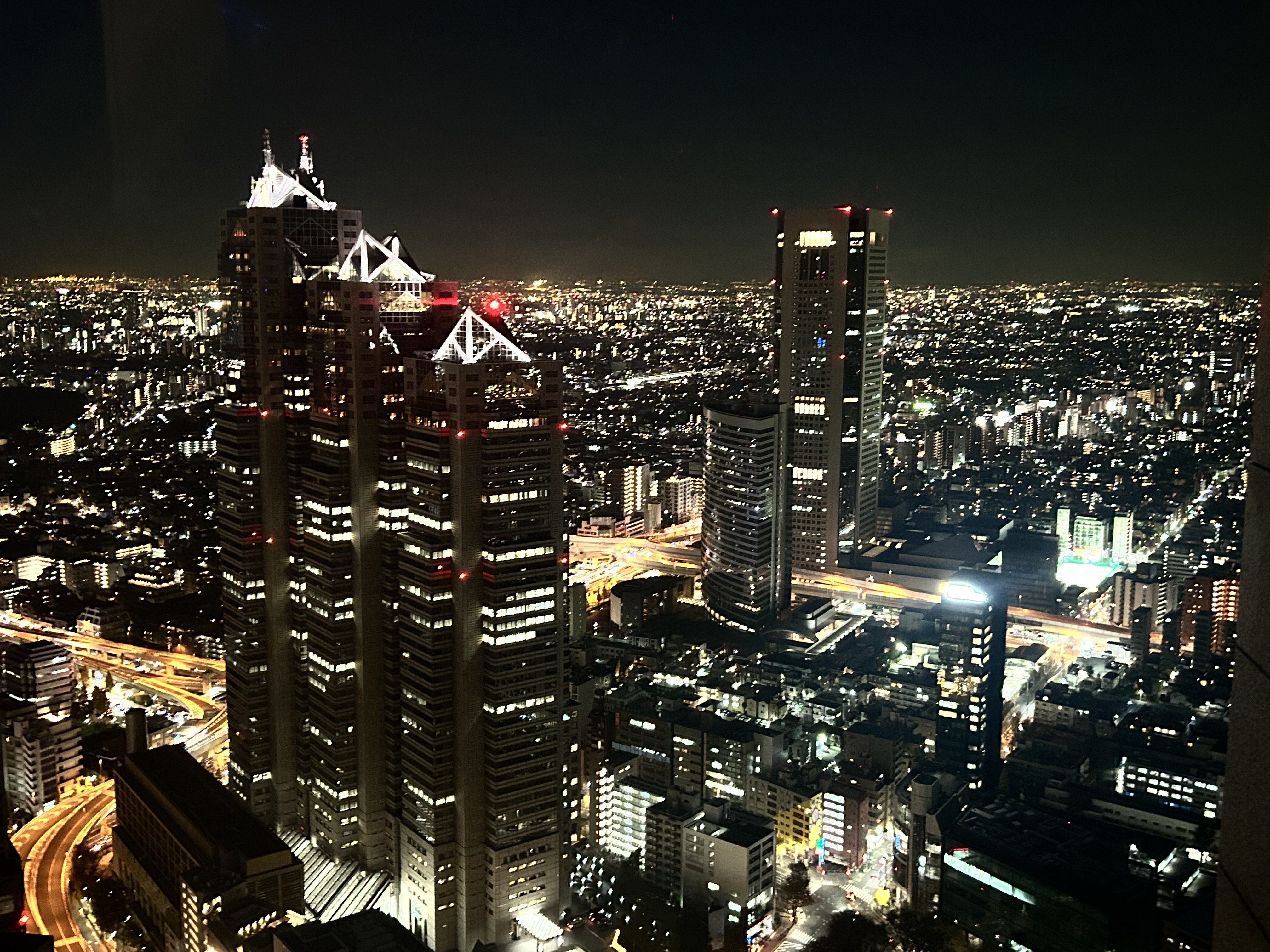 Tokyo Night View